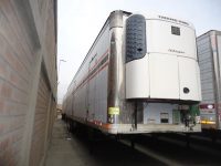 Great Dane 2006Foto 1